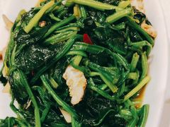 菠菜炒皮皮虾肉-双井轩(双井店)