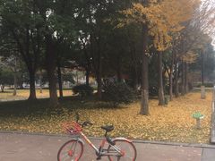 -一席地·本地鸡窝·杭帮鸡火锅(萧山银隆百货店)
