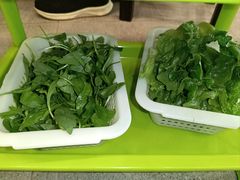 -正能量脆肉鲩火锅