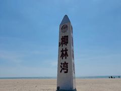 -东郊椰林