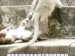 -昆明动物园