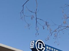 -绿堤公园