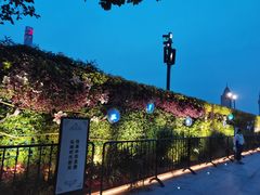 -小杨生煎(龙之梦购物中心店)