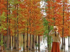 -白鹭湾湿地公园