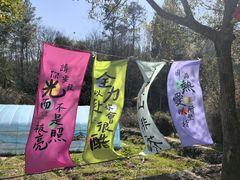 -天台山赤城山景区
