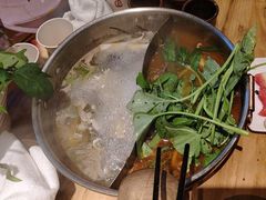 -黔诚多彩火锅(甲秀楼店)