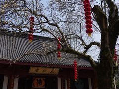 -杭州上天竺法喜讲寺
