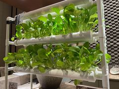 -西安浐灞艾美酒店·汉江餐厅·火锅