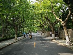 -八大关景区
