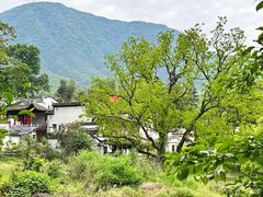 -塔川景区