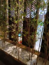点击看大图 -盘子女人坊古装写真摄影(南京总店)