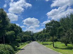 -蜀冈西峰生态公园