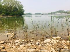 -大兴滨河森林公园