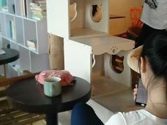 -Cappucimeow猫咪咖啡馆(韦伯时代店)
