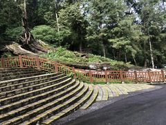 -溪头自然教育园区林间休憩场