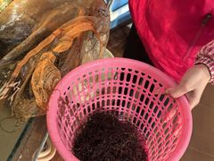 -胜海大排档·海鲜·黄鳝饭(十年老店)