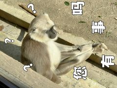 -上海野生动物园