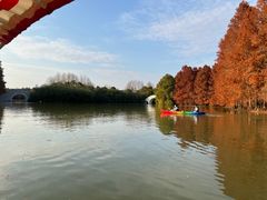 -上海海湾国家森林公园