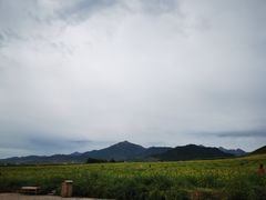 -扁都口生态休闲旅游区