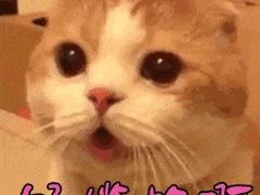 -奥山冰场(奥山世纪城店)