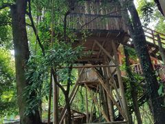 景点-天门沟九州驿站树上汤泉