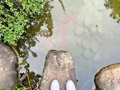 -两江国际影视城