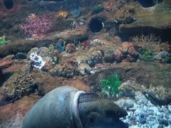 -秦皇岛新澳海底世界