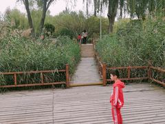 -燕郊植物园