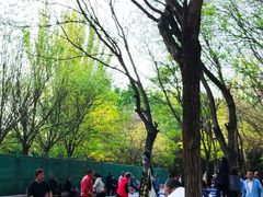 -青城公园
