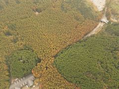 -山王坪喀斯特国家生态公园