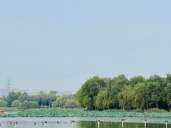 -北京麋鹿生态实验中心