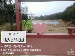-青龙山国家森林公园