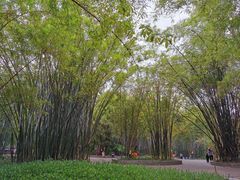 -晓港公园