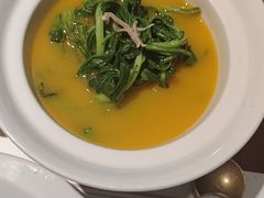 -觀芷隐轩