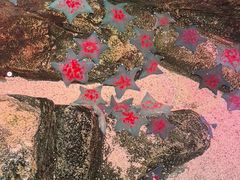 -沈阳海洋探索中心