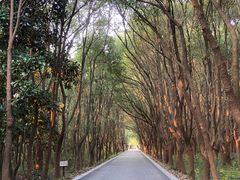 -同里国家湿地公园