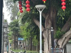 -荔湾湖公园