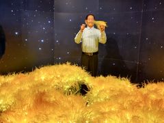 -厦门帷幕开啦红地毯蜡像艺术馆