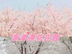 -都江堰玫瑰花溪谷