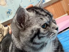 -宠福鑫动物医院(城北分院)