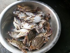 -许村蟹面(海宁许村大道店)