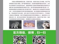 -海门爱心宠物医院