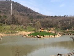 -合肥野生动物园