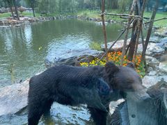 -北京野生动物园