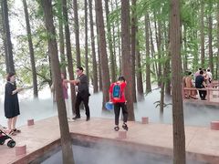 -东湖落雁景区