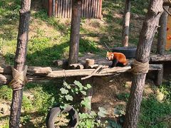 -大连森林动物园