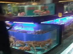 -阿伟海鲜楼·福建菜(延寿店)