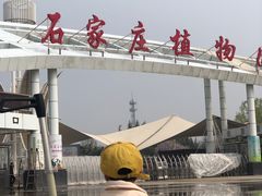 -石家庄市植物园