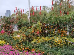 -天河体育中心