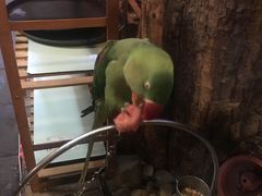 -丽江庭院之丽江往事(安定门店)
